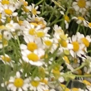 Meet your Posher, I'm still